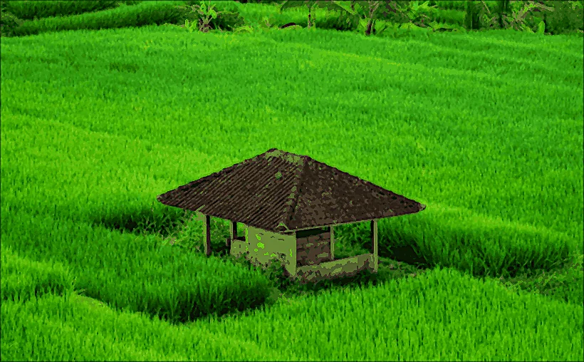 Rizière au Cambodge, cabane au milieu des paddys